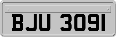 BJU3091