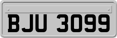 BJU3099