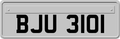 BJU3101
