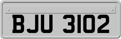 BJU3102