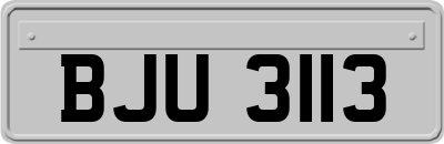 BJU3113