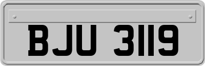 BJU3119