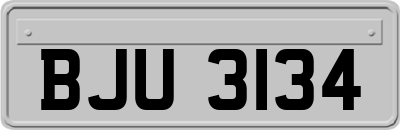 BJU3134