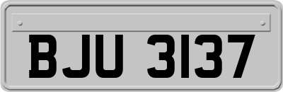 BJU3137