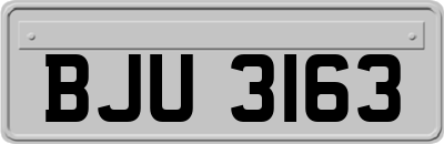 BJU3163