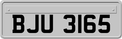 BJU3165