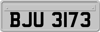 BJU3173