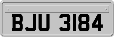 BJU3184