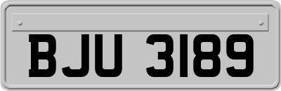 BJU3189