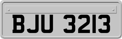 BJU3213