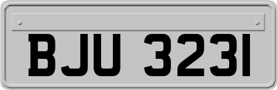 BJU3231