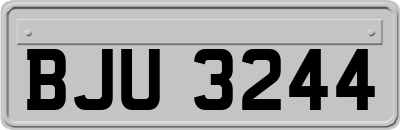 BJU3244