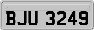 BJU3249