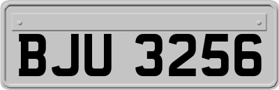 BJU3256