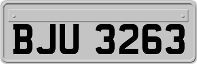 BJU3263