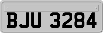 BJU3284