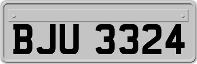 BJU3324