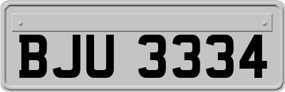 BJU3334