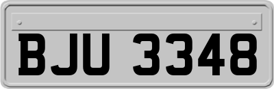 BJU3348