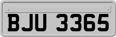 BJU3365