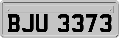 BJU3373
