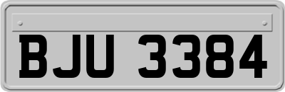 BJU3384