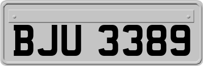 BJU3389