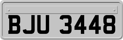 BJU3448