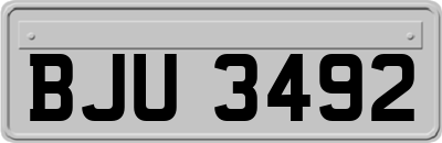 BJU3492