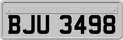BJU3498