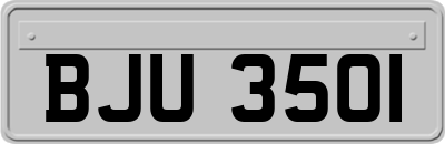 BJU3501