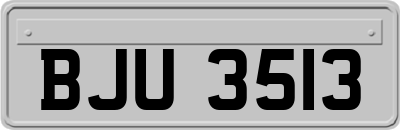 BJU3513