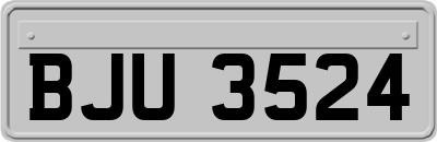 BJU3524
