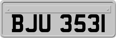 BJU3531