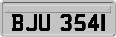 BJU3541