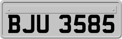 BJU3585