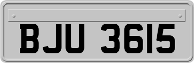 BJU3615