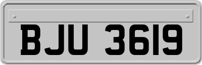 BJU3619