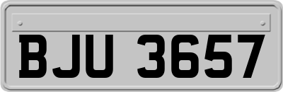 BJU3657