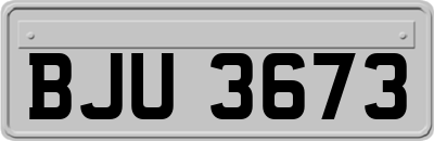 BJU3673