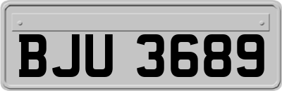 BJU3689