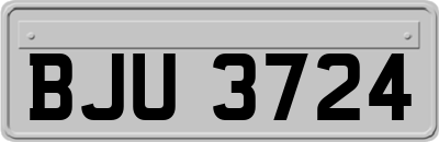 BJU3724