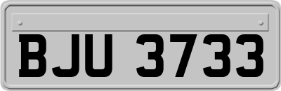 BJU3733