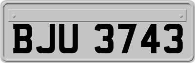 BJU3743