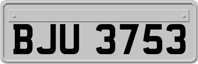 BJU3753