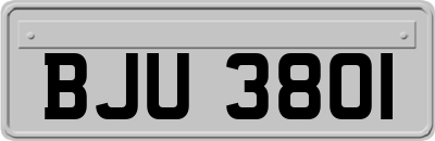 BJU3801