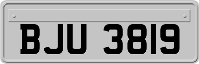 BJU3819