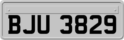 BJU3829