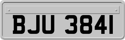 BJU3841