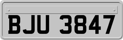 BJU3847